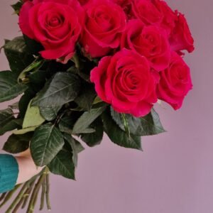 Avietinės rožės (premium kokybė)