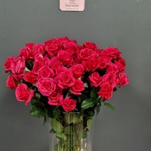 Alternative view of Smulkiažiedės rožytės pastelinių arba tamsių atspalvių