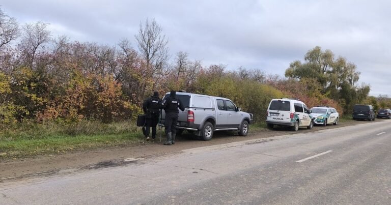 Dronas perskrido beveik visą Lietuvą: gyventojų skambučiai atskleidė, kada paaiškėjo mirtinas pavojus