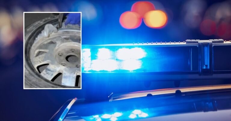 Sustabdė eiliniam patikrinimui, bet rado kai ką netikėto: šilutiškio namuose aptikti dar 5 kilogramai