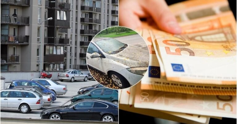 Apleistas automobilis kieme gali brangiai kainuoti: vien stovėjimo nepakanka, bet gresia ir 300 eurų bauda
